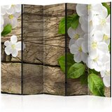  Paravan u 5 dijelova - Raw beauty II [Room Dividers] 225x172 Cijene