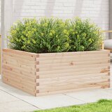 Maison Chic Vrtno cvetlično korito - Cvetlični Lonec 100x100x46 cm trdna borovina, (21790406) | Shoptok.si