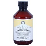 DAVINES Naturaltech Purifying Shampoo čistilni šampon proti prhljaju 250 ml Cene