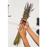 OPI Pro Spa eksfoliacijski balzam za obnohtno kožico 27 ml | Shoptok.si
