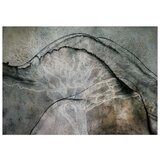  Tapeta - Alphabet of Trees 300x210 | shoptok.hr