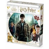  Puzzle 3d 300 pcs harry potter 61x46cm 32559 ( 114/32559 ) Cene