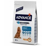 Advance dog adult medium 3 kg Cene