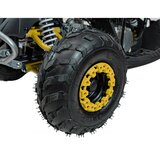 Ramiz Otroški štirikolesnik RENEGADE HIPERFECT 110CC rumena | Shoptok.si