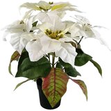  Umjetna biljka Božićna zvijezda u tegli, 40 cm, sort | shoptok.hr