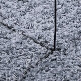 vidaXL Čupavi moderni tepih s visokim vlaknima plavi 240x340 cm | shoptok.hr