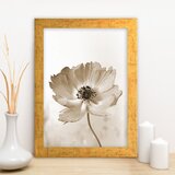 Opviq Slika 24x29cm | Eponuda.ba