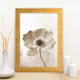 Slika 24x29cm