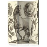 Artgeist PARAVAN 135/172/3 cm krem barve, siva Slike