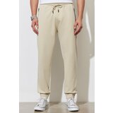 ALTINYILDIZ CLASSICS Men's Beige Standard Fit Regular Cut Sweatpants Cene