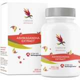  Ashwagandha Extract KSM66 - 60 kaps. Cene