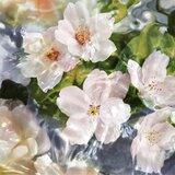Guerlain Aqua Allegoria Flora Cherrysia toaletna voda nadomestno polnilo za ženske 200 ml | Shoptok.si