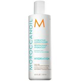 Moroccanoil Hydration conditioner – regenerator za hidratizaciju kose | Eponuda.ba