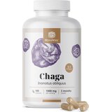  Chaga 1000 mg - Ekstrakt 5:1 - 180 kaps. | shoptok.hr