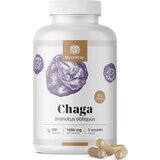  Chaga 1000 mg - izvleček 5:1 - 180 kaps. | Shoptok.si