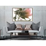  Poster - Under the Flower 90x60 | shoptok.hr