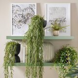 XXXL Umetna Rastlina Tillandsia Ii -Paz- -Ext- | Shoptok.si
