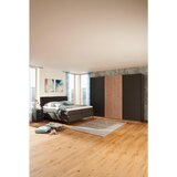 Hom`in postelja boxspring 180 cm x 200 cm , tekstil antracit, črna | Shoptok.si