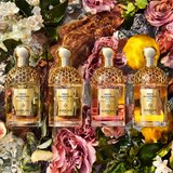Guerlain Aqua Allegoria Forte Oud Yuzu parfemska voda unisex 125 ml | shoptok.hr