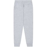 Champion Authentic Athletic Apparel Hlače pegasto siva | Shoptok.si