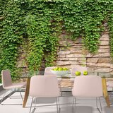  Tapeta - Ivy wall 100x70 Cijene