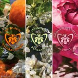 Guerlain Aqua Allegoria Rosa Verde toaletna voda polnilna za ženske 75 ml | Shoptok.si