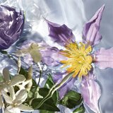 Guerlain Aqua Allegoria Flora Salvaggia toaletna voda nadomestno polnilo za ženske 200 ml | Shoptok.si