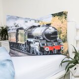 Jerry Fabrics Enojna bombažna otroška posteljnina 140x200 cm Train – | Shoptok.si