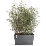 Ecopots Paris - siva - D 60 x G 26 x V 40 cm (46,7 litra) | Shoptok.si