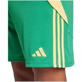 Adidas Hlače 3/4, 7/8 Tiro 24 Zelena | Shoptok.si