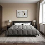  Poletna odeja Šonerisan Svetlo siva 200 x 240 cm Mikrovlakna, (5000284489) | Shoptok.si