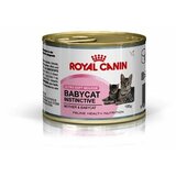 Royal Canin pašteta za mačiće Babycat Instinctive 195gr Cene