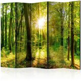 Artgeist Paravan - Forest Rays II 225x172 Slike
