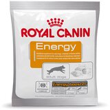 Royal Canin Energy - Varčno pakiranje: 4 x 50 g Cijene