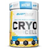 Everbuild Nutrition Kompleks aminokiselina CryoCell Narandža, 480g | Eponuda.com