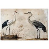  Slika - Birds from an old engraving - vintage-style illustration depicting a heron and a crane 30x20 Premium Print | shoptok.hr