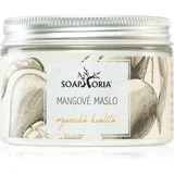 Organic mangovo maslo 150 ml