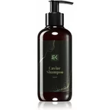 Brazil Keratin Caviar Shampoo šampon za učvršćivanje s kavijarom 250 ml