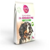 Master Hrana za pse sa okusom govedine 3kg Lucky Pet Cijene