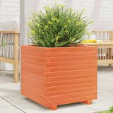 Maison Chic Vrtno cvetlično korito - Cvetlični Lonec vošč. rjavo 50x50x49,5 cm trdna borovina, (21790584) | Shoptok.si