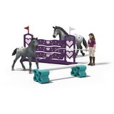 Figure djelovanja Schleich | shoptok.hr