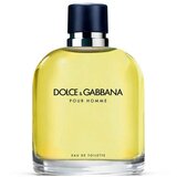 Parfem Toaletna voda Eau de Toilette für Herren 125 ml Cene
