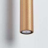 Sollux Stenska svetilka v zlati barvi ø 2,5 cm Fideus – | Shoptok.si