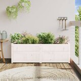  Vrtna sadilica bijela 150 x 50 x 50 cm od masivne borovine | Eponuda.com