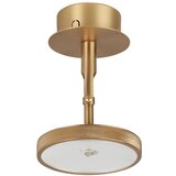 UMAGE LED točkovno svetilo v zlati barvi ø 12 cm Asteria Spot – | Shoptok.si