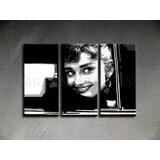  Ručno slikane slike na platnu pop art audrey hepbhurn | ePonuda.com