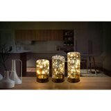 Globo Namizna Led-svetilka Hanni | Shoptok.si
