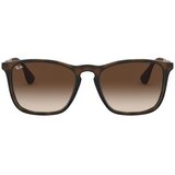 Ray-ban CHRIS 0RB4187 856/13 Smeđa | shoptok.hr