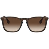 Ray-ban Sončna očala CHRIS 0RB4187 856/13 Kostanjeva cene