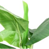  Umjetno drvo banane s posudom 300 cm zeleno | shoptok.hr